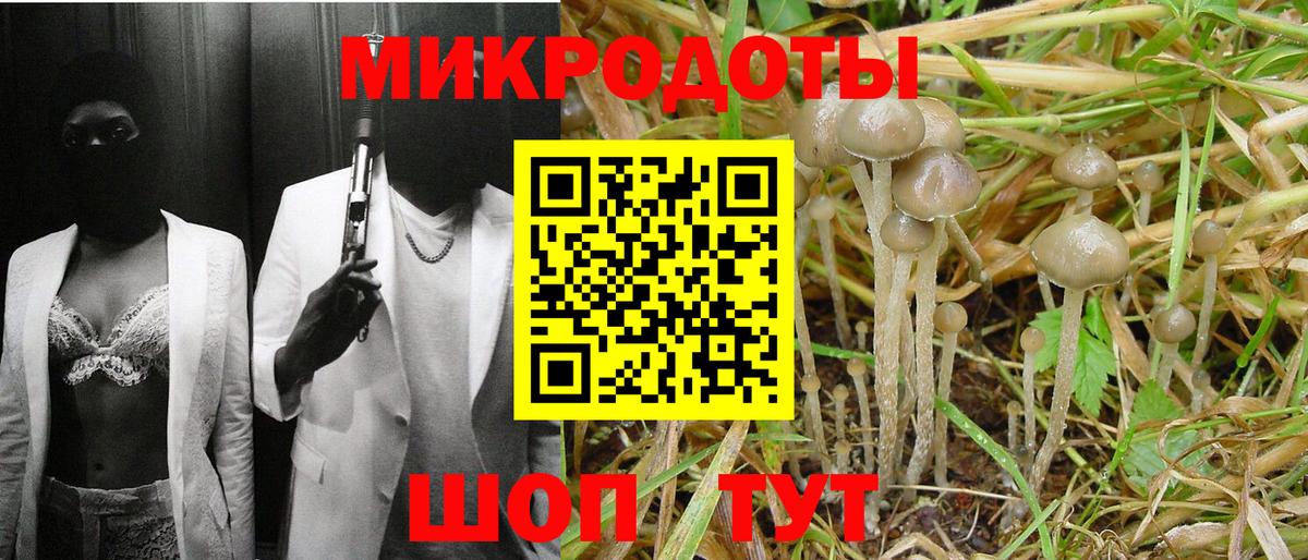 Галлюциногенные грибы мухоморы  Вход с VPN  Выкса  Псилоцибиновые грибы MAGIC MUSHROOMS 