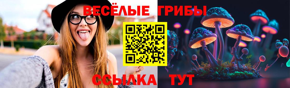 Псилоцибиновые грибы Magic Shrooms Выкса